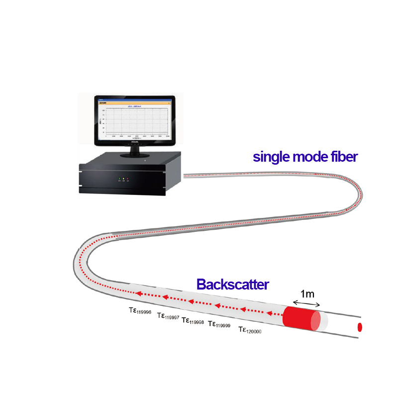 Distributed Fiber Sensing System